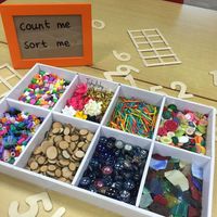 "Count me, sort me" collection. Open ended loose parts in a tinker tray.