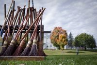 Quidditch on Campus - Photos - WSJ.com