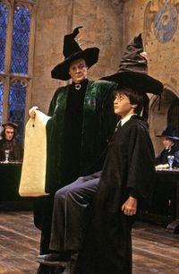 Which Hogwarts house matches your decorating style? Try on our home decor Sorting Hat!