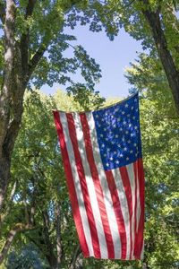 size: 24x16in Photographic Print: Colorado, Crawford. Flag Hanging Between Two Trees by Jaynes Gallery :