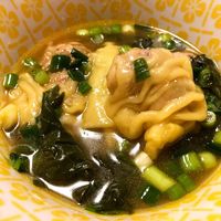 Instant Pot Wonton Soup