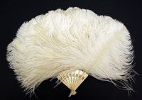 Antique Feather Fan 1800’s