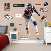 Officially Licensed NFL Removable Adhesive Decal