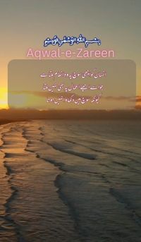 aqwale zareen in urdu