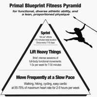 My Take on the Primal Blueprint Certification