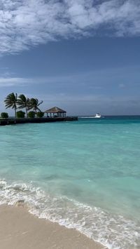 All Things Maldives on Instagram: "You arrive in style in the Maldives 😍🛥️ Tip - Speedboats are the most cost-effective option when transferring in the Maldives. If you’re lucky sometimes you will see dolphins 🐬 along the way! 🙋🏼‍♀️Follow @allthingsmaldives for travel inspo ✨ 💌 Save and share with someone who you’d love to travel to Maldives with 🫶🏼 #maldivesisland #maldivesphotography #maldivesvacation #maldives #maldivene #maldivesholiday #maldiveslife #maldivesresorts #maldivestourism