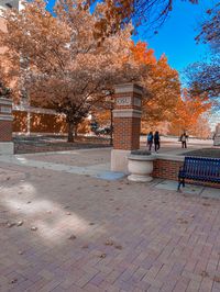 insta _cameron.mcconnell_ fall | stillwater | campus | november | leaves | oklahoma