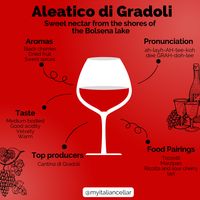 A comprehensive guide to Aleatico di Gradoli: sweet nectar from the shores of the Bolsena lake.