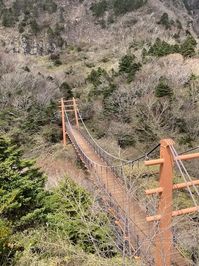 HIKING HALLASAN IN JEJU - COMPLETE GUIDE