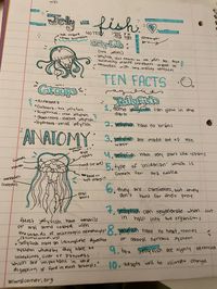 Jellyfish Marine Biology Notes Cute