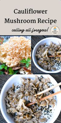 This spectacular Asian-inspired Cauliflower Mushroom Recipe perfectly blends Asian flavors with this meaty and unique mushroom! This post has the best tips, tricks, and recipe on how to clean and how to cook cauliflower mushroom.