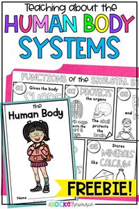 Teaching about the human body systems doesn't have to be difficult! Get this FREE fact book and coloring notes to get your unit started. https://therocketresource.com/teaching-the-human-body-systems/