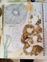 Textiles Student Sketchbook exploring Growth from Decay - observational drawings & mixed media mushroom studies // Connie Evans