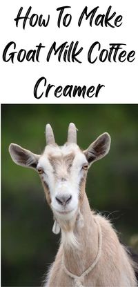 Goat Milk Coffee Creamer - Steel Raven Farms