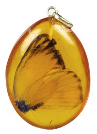 Sadigh Gallery's Prehistoric Insect In Amber