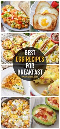 Check out this collection of breakfast egg recipes—classic egg breakfast foods, baked eggs, and bite sized egg recipes are all included! #eggrecipes #eggs #breakfast #breakfasteggs #breakfastrecipes