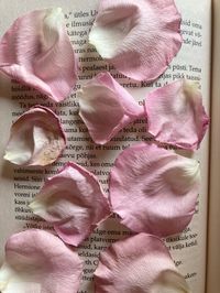 pink,roses,flowers,rose petals,book