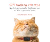 Nuzzle: A GPS Tracking Pet Collar, App and Insurance http://www.floppycats.com/nuzzle-a-gps-tracking-pet-collar-app-and-insurance.html