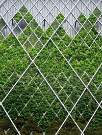 Vertical Garden #espacio #exteriores