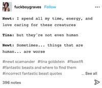 fantastic beasts and where to find them from tumblr #fantasticbeasts #fbawtft #hp #harrypotter #fantasticbeastsandwheretofindthem #newtscamander #tinagoldstein #queeniegoldstein #jacobkowalski #percivalgraves #credencebarebone #gellertgrindelwald #seraphinapicquery #theseusscamander