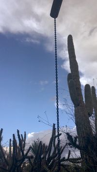 Calming video of water drops falling from a structure next to cactus plants in the Arizona Desert near Scottsdale. #desert #raindrops #southwestusa  #calming #cactus #scottsdale