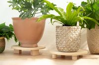 Plant Riser DIY Tutorial | Hunker