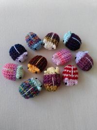 These cute bugs are all made using second hand and scrap yarn which would have gone to waste. Each bug has a unique colour combo and you get one random one! Let me know if there are any colours you'd prefer :) Great for anxiety relief, fidgeting, grounding, and stress relief. Mini bugs are roughly 4cm big, which is perfect for pockets Chonky bugs are roughly 8cm and super squishy.