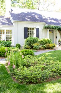 a spring garden tour featuring snap dragons, yew, lenton roses, autumn ferns, boxwood, annabelle hydrangea, clematis vine