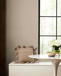 Tony Taupe SW 7038 | Neutral Paint Colors | Sherwin-Williams