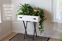 Upcycled Drawer Plant Stand DIY