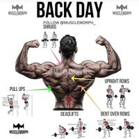  

📌full back day workout.🏋🚴💪

