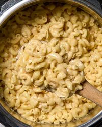 Instant Pot Mac and Cheese Recipe (6 Ingredients) | The Kitchn