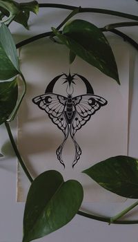 Luna moth symbolize transformation and rebirth #lunamoth#moth#ink#art#mothtattoo#lunamothtattoo#pothos#moon#tattoodesign#mothtattoodesign#mar