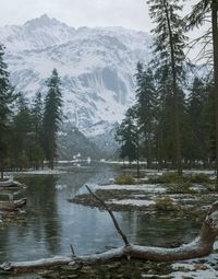 ArtStation - Rocky Mountain Stream