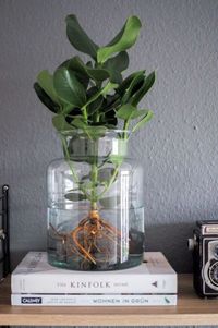 37 Indoor Water Garden Ideas That Refresh Your Interiors | Home Design And Interior