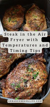 Unlock the secrets to perfect Air Fryer Steak with this simple guide, featuring foolproof temperatures and timing for delicious results every time!| steak in the air fryer, steak in the air fryer recipe, steak in air fryer how to cook, steak in air fryer, air fryer recipes, easy dinner recipes|