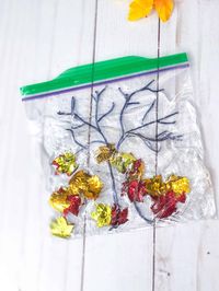 4 Fall Sensory Bags for Babies and Toddlers - Views From a Step Stool