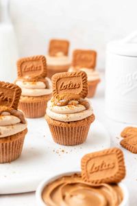 These biscoff cookie butter cupcakes have a brown butter spiced cupcake base filled with speculoos cookie butter and topped with fluffy cookie butter frosting and biscoff cookies!