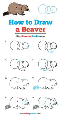 how to draw a beaver. There are any references about how to draw a beaver in here. you can look below. I hope this article about how to draw a beaver can be useful for you. Please remember that this article is for reference purposes only.#how #to #draw #a #beaver