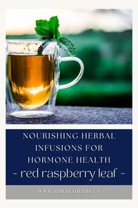 |Spiraea Herbs with Correne Omland| Wouldn’t you love to know a simple and safe remedy that you can make in your kitchen that will help support your hormone health? Look no further! Red raspberry leaf has been used for centuries to help tone and support the female reproductive system. Let’s learn how to make this effective herbal remedy together. Click here to learn more!