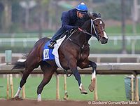 Unbeaten Breeders' Cup Juvenile Fillies (gr. I) winner Songbird, the overwhelming favorite to be named champion 2-year-old filly Jan. 16, worked six furlongs 1:14 2/5 on Santa Anita Park's fast main track Jan. 14.