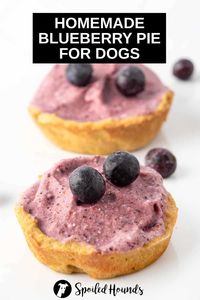 Your furry friend deserves a special treat too! Try this easy homemade blueberry pie for dogs recipe and watch your pup go wild with excitement. Made with all-natural and simple ingredients, this delicious doggie dessert is sure to satisfy even the pickiest of eaters. Blueberry pie treats are perfect for dog birthdays, holidays, special occasions, or just because. This DIY dog-friendly dessert is a tail-wagging delight. What are you waiting for? Make this doggy blueberry pie recipe today.