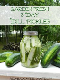 Garden Fresh Easy Dill Pickle Recipe (no canning-good for 6 weeks!)