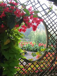 the gardens at the Biltmore Estate