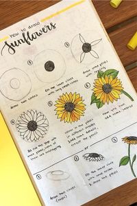 Check out the best sunflower themed bullet journal spreads and layouts for inspiration! #bujo #bulletjournal #bujoideas #bujotheme