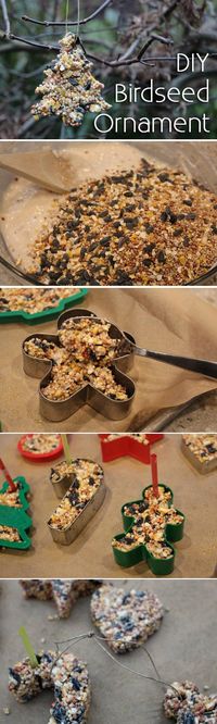 A festive craft the kids will enjoy making and the the birds will love! A…