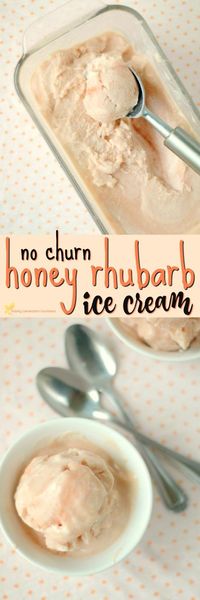 No Churn Honey Rhubarb Ice Cream