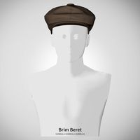 Brim Beret | Patreon