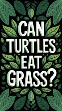 Wondering if grass is safe for your red-eared slider turtle feeding routine? This guide covers essential tips on feeding a turtle and what foods to include. Learn more about turtle feeding and keep your pet healthy! Save this pin for feeding advice and more!