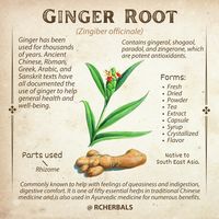 Anyone else love ginger!? Not only is it a favorite of many but it is packed full of amazing benefits!  You can find ginger in our Belly Be Happy Click to learn more   #Ginger #Herb #Herbal #Digestion #GutHealth